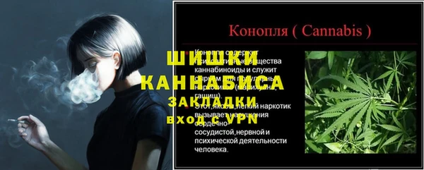 ГАЛЛЮЦИНОГЕННЫЕ ГРИБЫ Беломорск