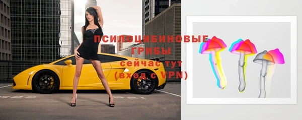 ГАЛЛЮЦИНОГЕННЫЕ ГРИБЫ Беломорск