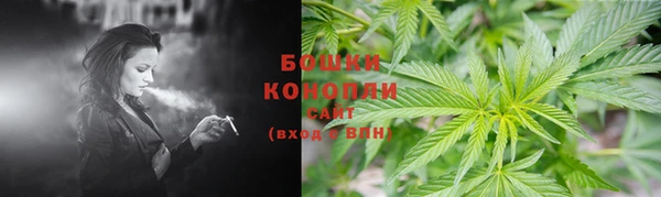 ГАЛЛЮЦИНОГЕННЫЕ ГРИБЫ Беломорск