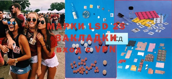 ГАЛЛЮЦИНОГЕННЫЕ ГРИБЫ Беломорск