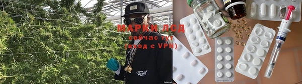 ГАЛЛЮЦИНОГЕННЫЕ ГРИБЫ Беломорск