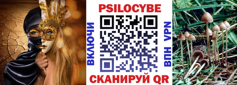 Галлюциногенные грибы Cubensis  omg ссылки  Острогожск  купить  сайты 
